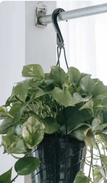 室內(nèi)設(shè)計專業(yè)培訓(xùn);消費者對環(huán)保健康室內(nèi)設(shè)計、家具擺設(shè)和裝飾的需求，已成一股推動力