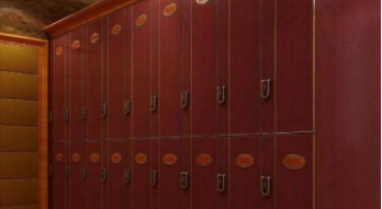 浴室全塑更衣柜：浴室更衣柜有什么材質(zhì)？浴室更衣柜電子感應(yīng)鎖好不好？